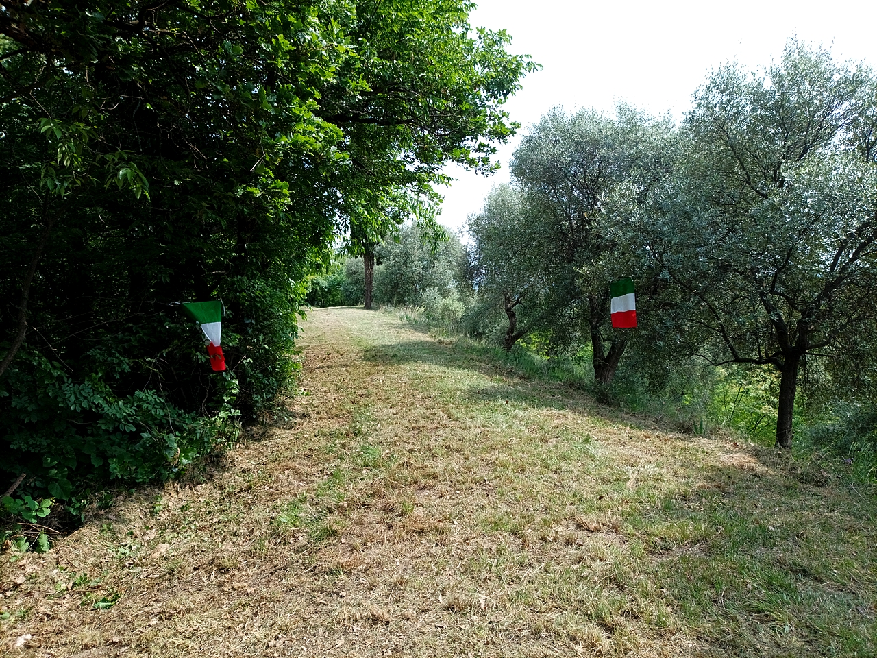 Panorama dal Monte Casale verso la pianura di Ponti sul Mincio