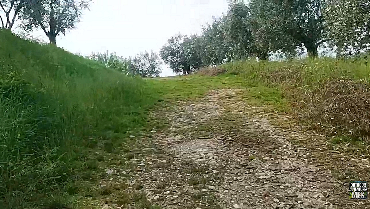 Salita di ritorno al colle San Lorenzo tra uliveti e antica pieve