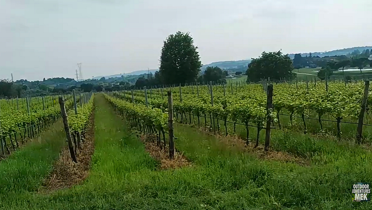 Panorama dal Colle San Lorenzo verso il campo da golf e le colline moreniche con la centrale termoelettrica in Ponti sul Mincio