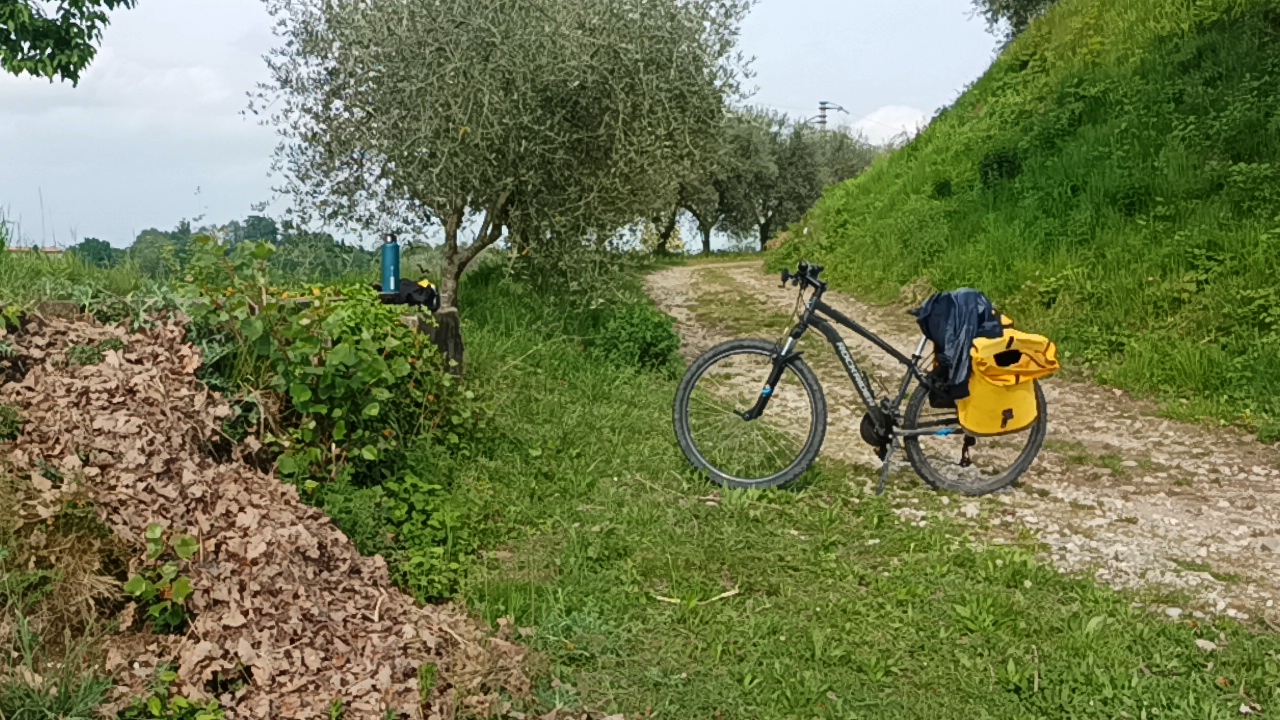 Pedalata in mountain bike sulle colline di Cavalcaselle - Lago di Garda